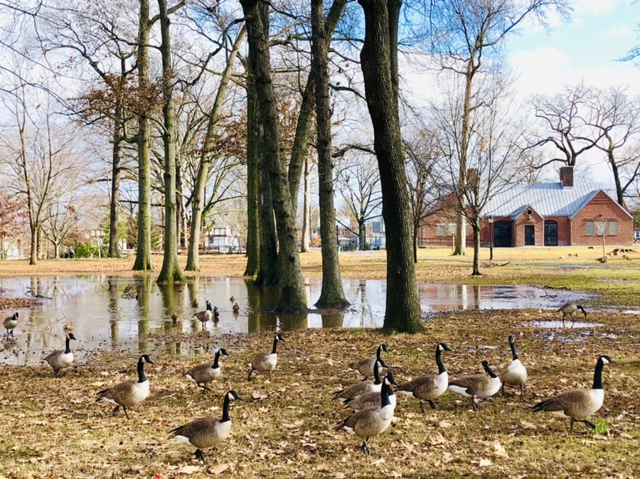 IMG_3538.jpg?type=w966