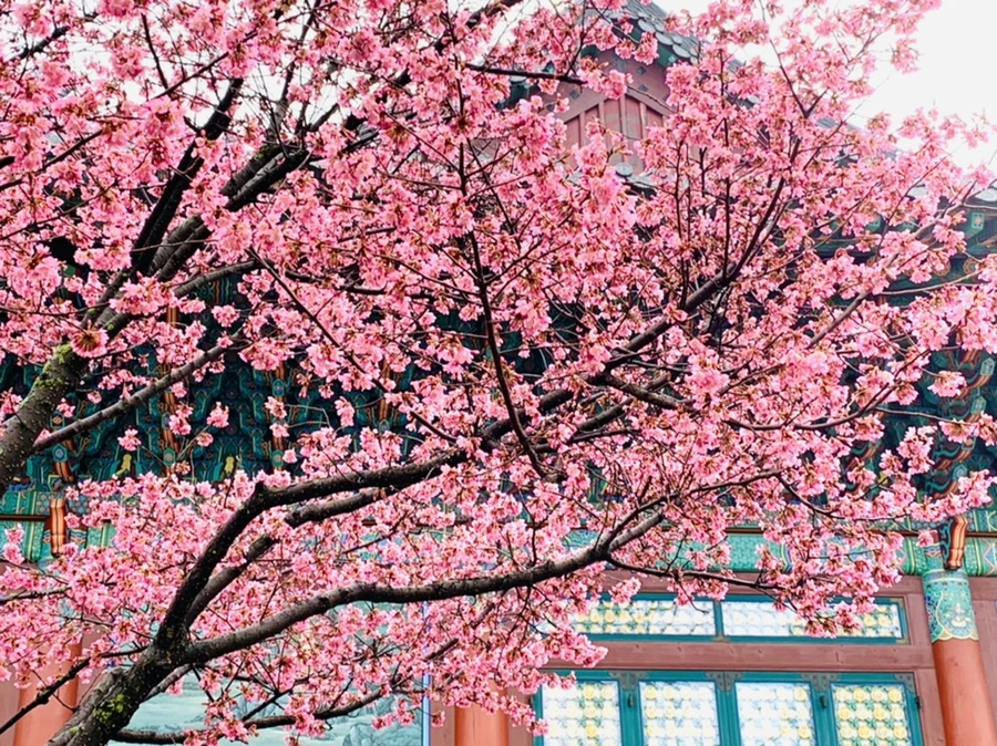 IMG_5228.jpg?type=w966