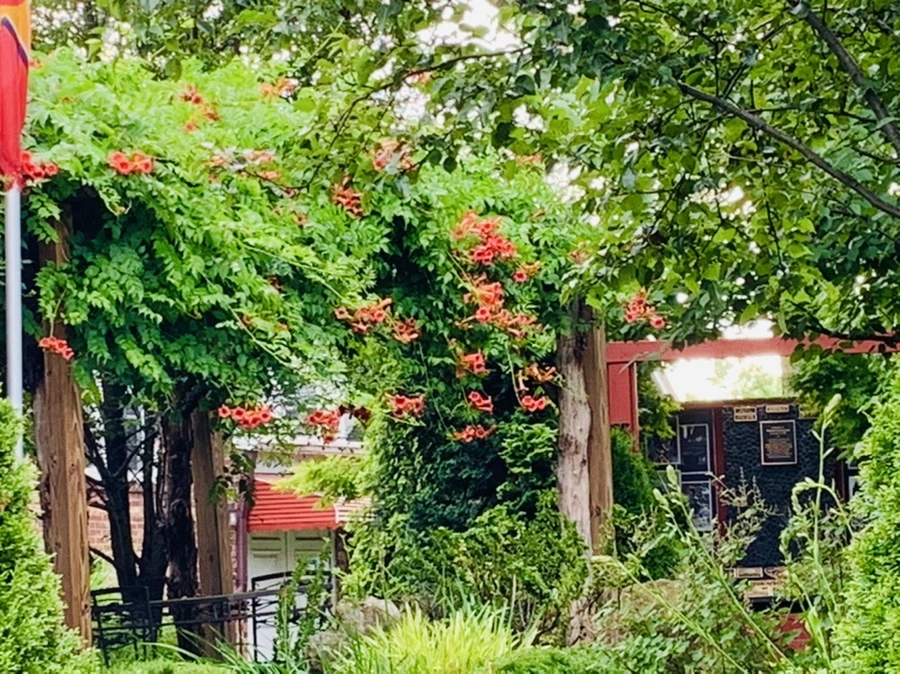 IMG_9028.jpg?type=w966