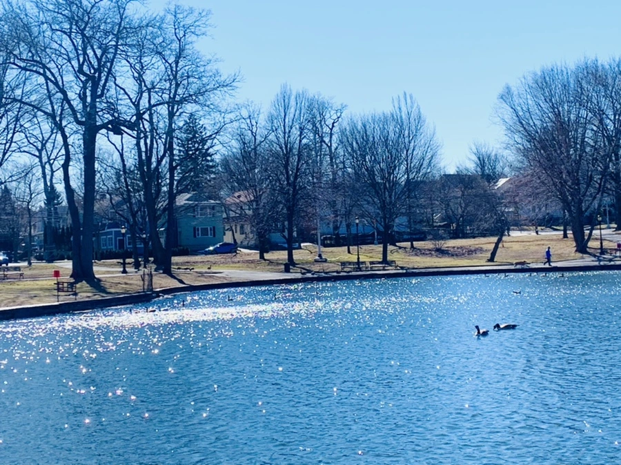 IMG_7595.jpg?type=w966