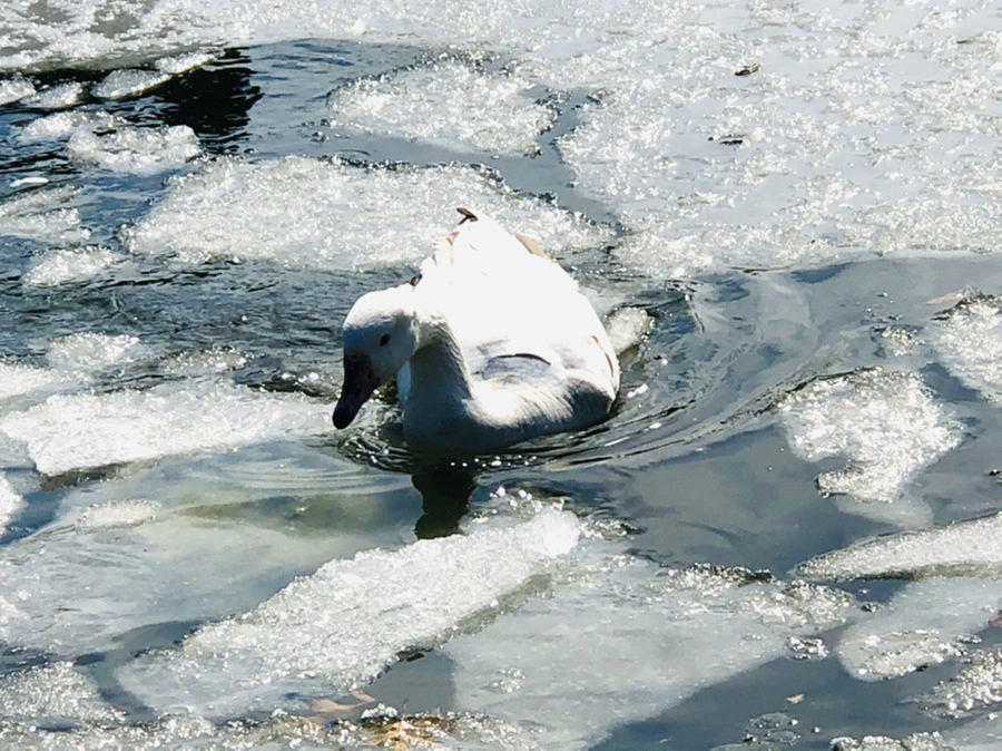 IMG_5414.jpg?type=w966