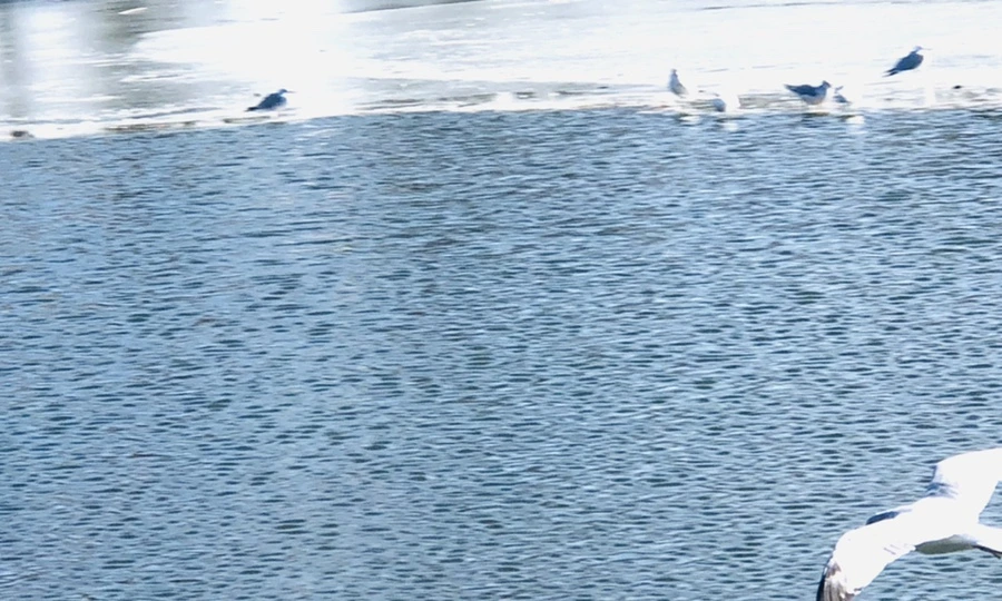 IMG_6836.jpg?type=w966