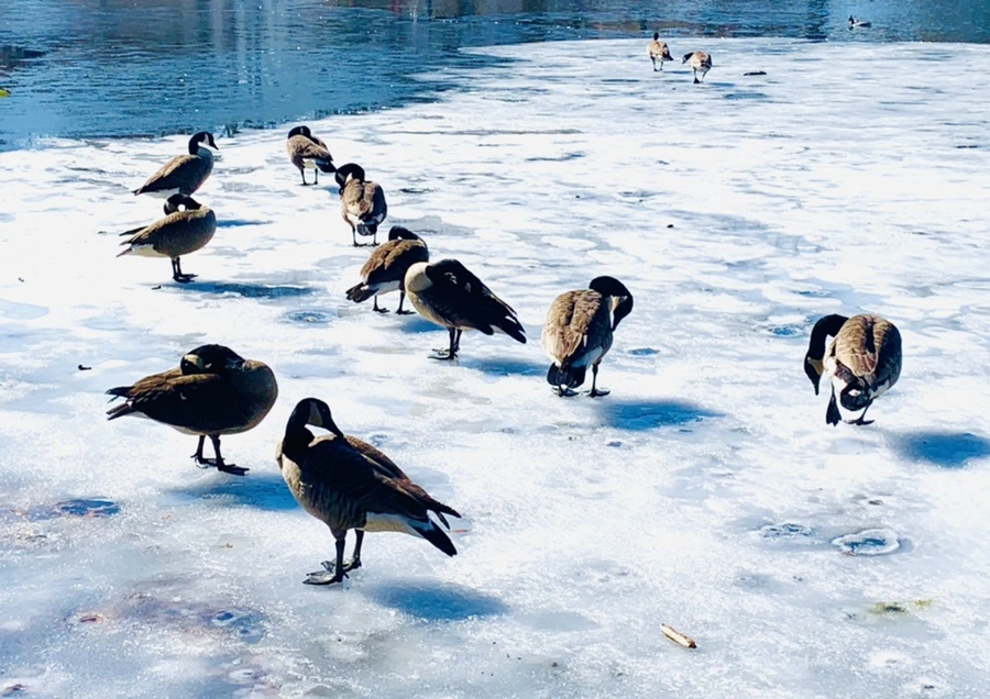 IMG_6910.jpg?type=w966