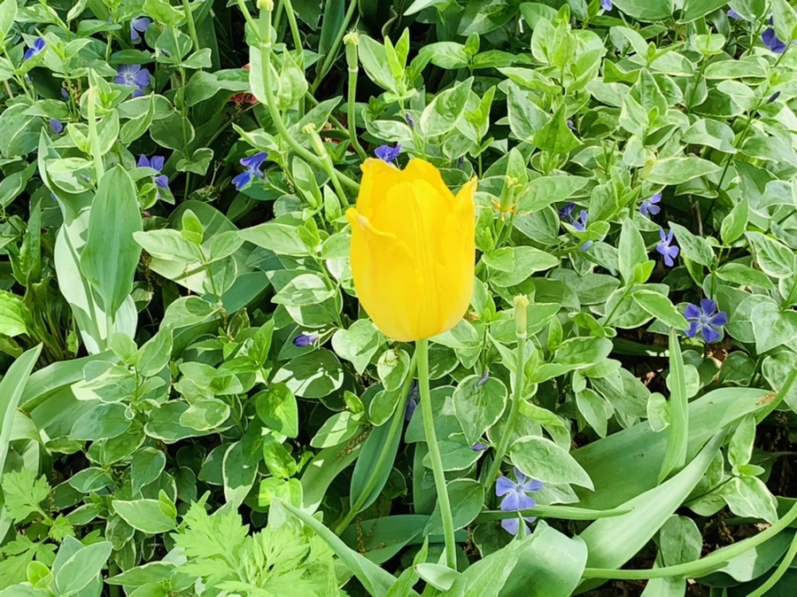 IMG_1393.jpg?type=w966