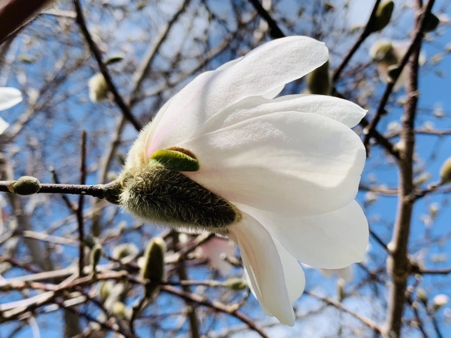 IMG_4354.jpg?type=w966