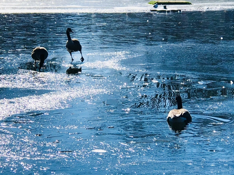 IMG_7995.jpg?type=w966