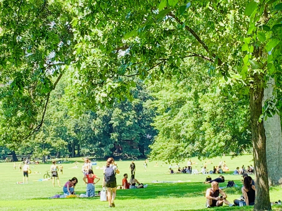 IMG_4987.jpg?type=w966