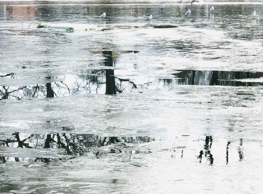 IMG_2030.jpg?type=w966