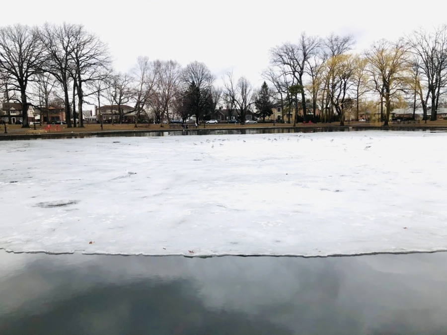 IMG_6503.jpg?type=w966