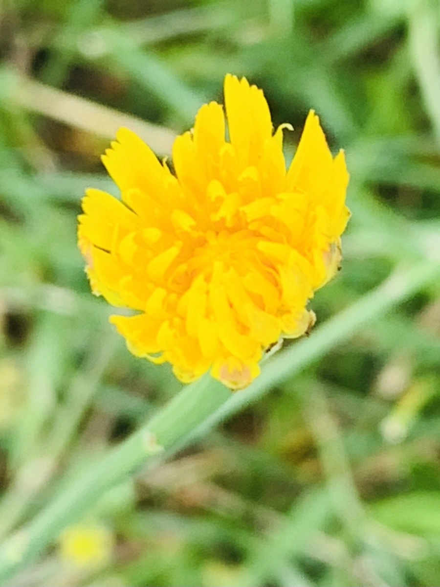 IMG_5345.jpg?type=w966