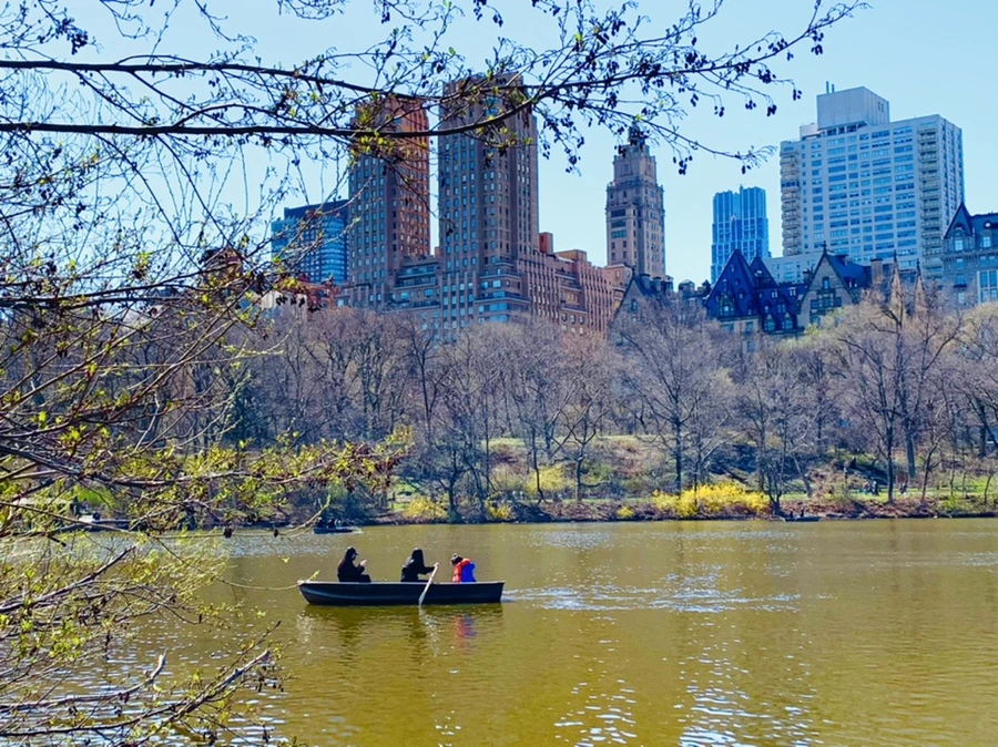 IMG_6903.jpg?type=w966