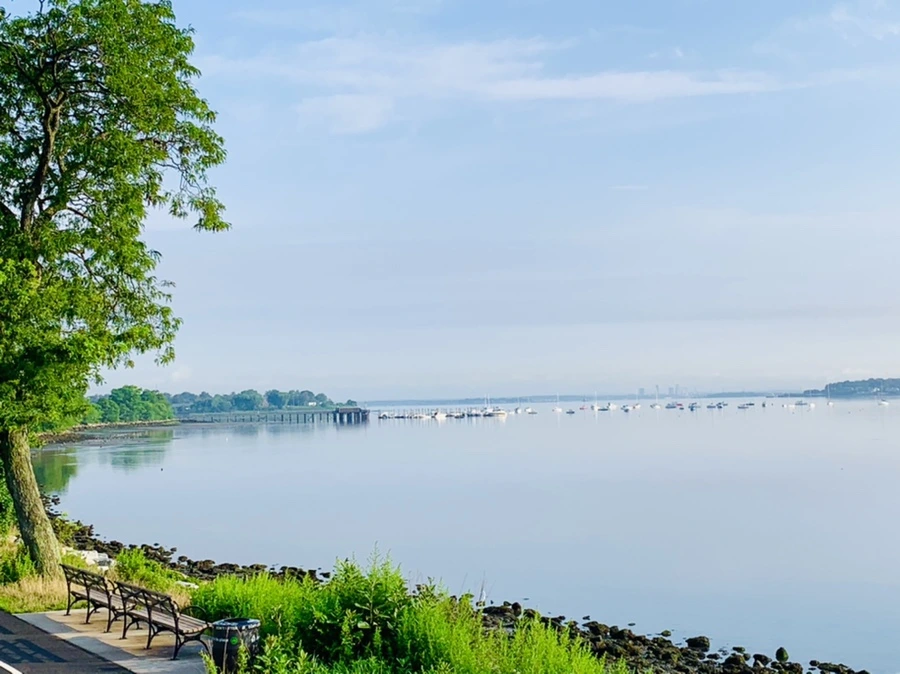 IMG_4405.jpg?type=w966