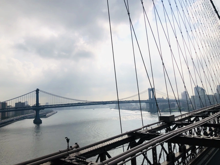 IMG_6655.jpg?type=w966