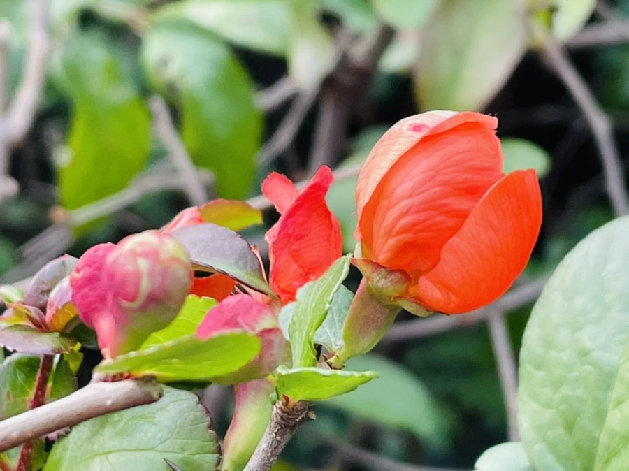 IMG_1281.jpg?type=w966