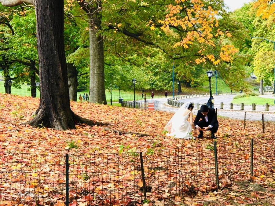 IMG_3035.jpg?type=w966