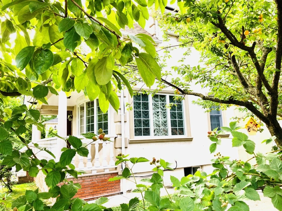 IMG_1662.jpg?type=w966