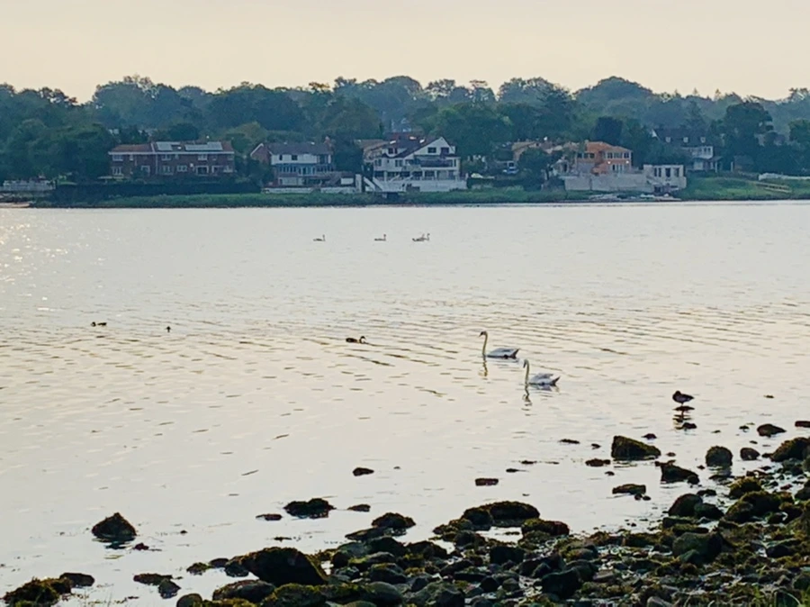 IMG_2254.jpg?type=w966