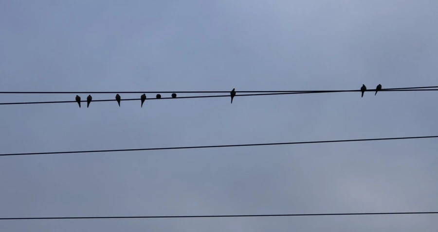 IMG_2380.jpg?type=w966