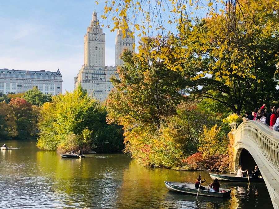 IMG_7214.jpg?type=w966