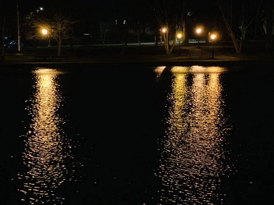 IMG_4595.jpg?type=w966