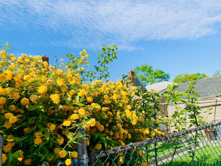 IMG_1039.jpg?type=w966