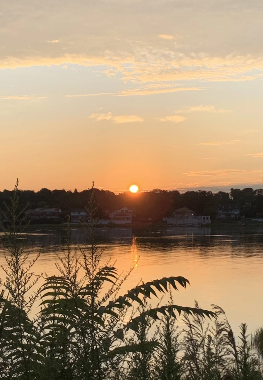 IMG_1272.jpg?type=w966