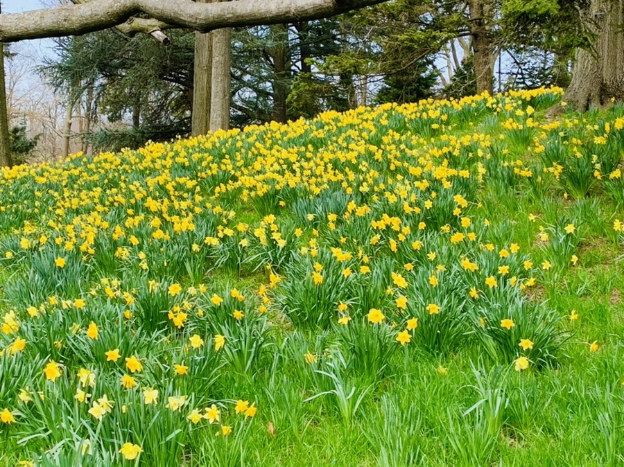 IMG_7260.jpg?type=w966