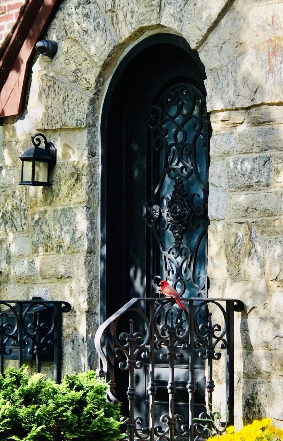 2zqIQyh15kJoxdvQGaJeL7lTraA