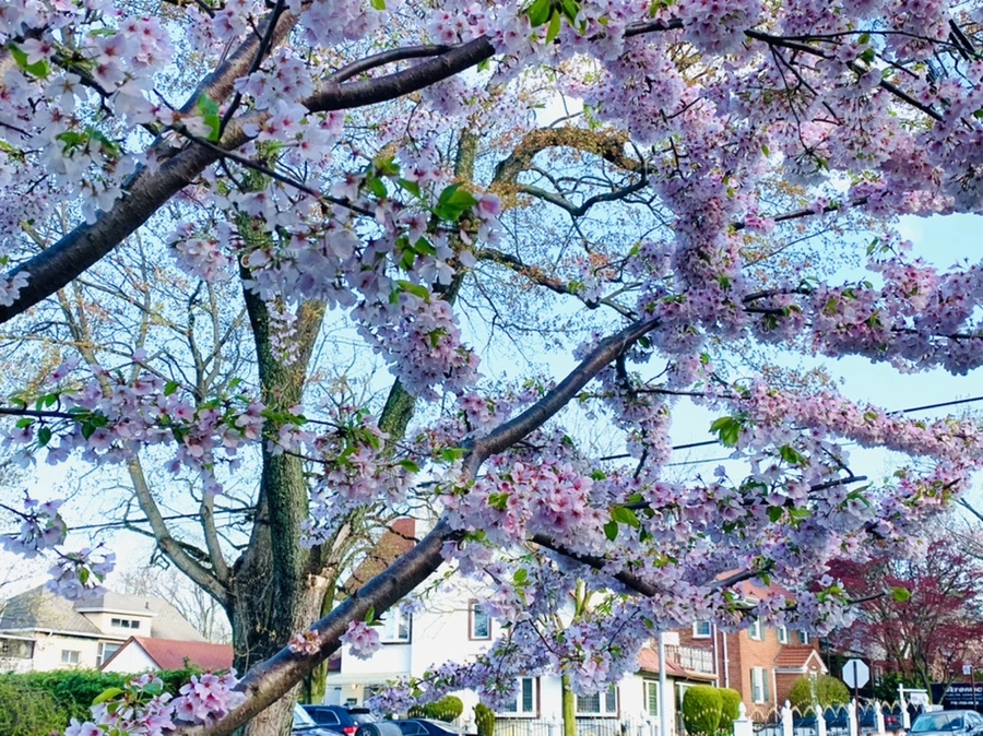 IMG_2620.jpg?type=w966