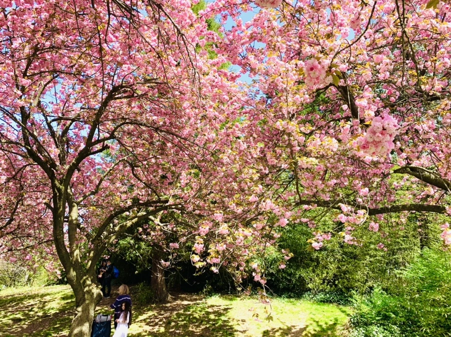 IMG_6469.jpg?type=w966