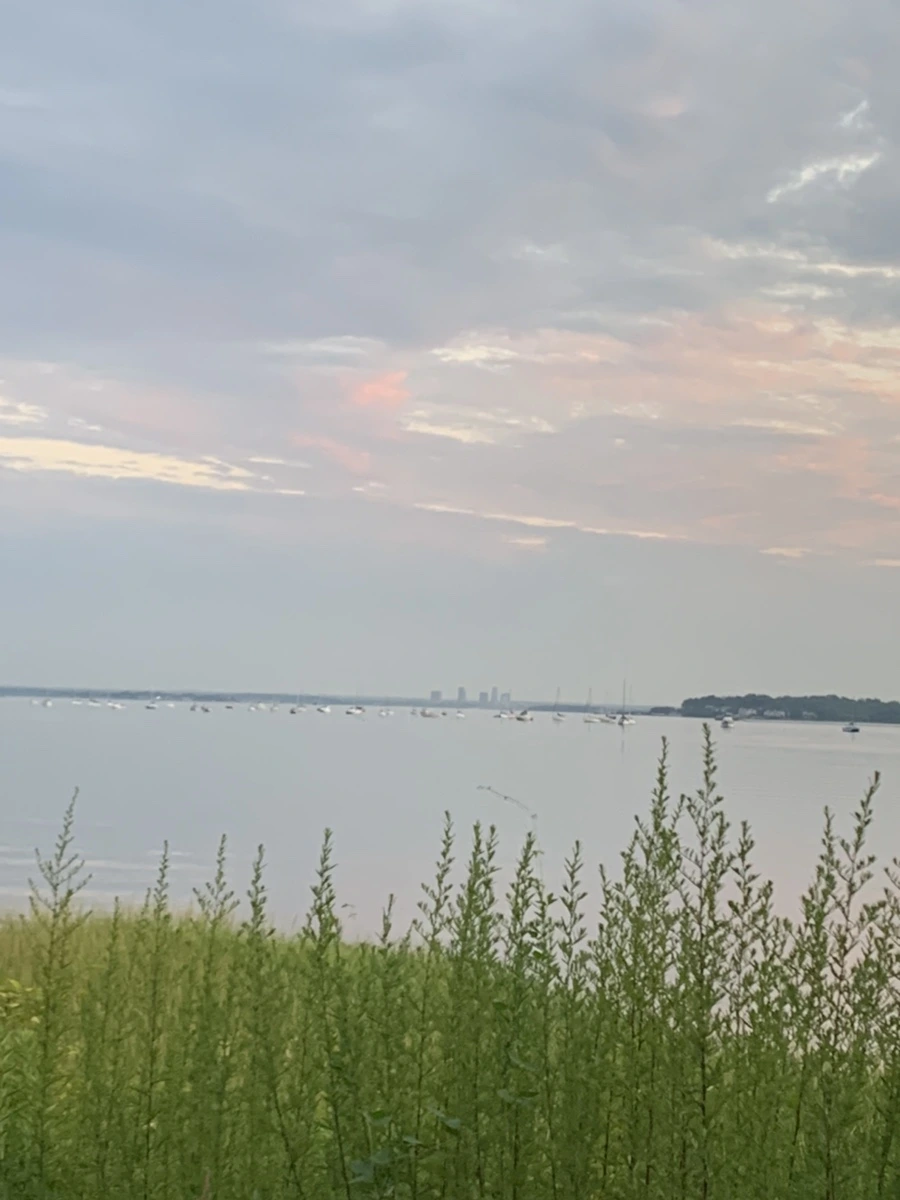 IMG_1176.jpg?type=w966