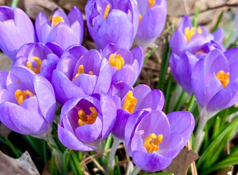 R-EZk99hf7BFb4H8D-YPXLHudb8