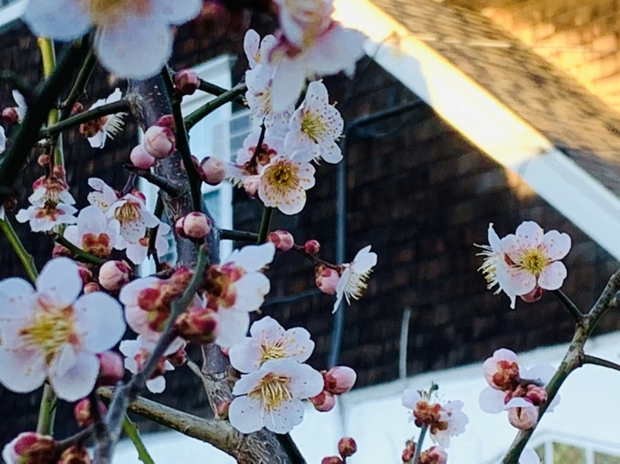 IMG_0848.jpg?type=w966