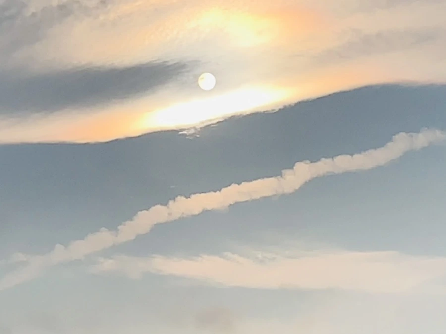 IMG_2235.jpg?type=w966