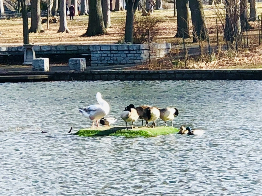 IMG_9233.jpg?type=w966