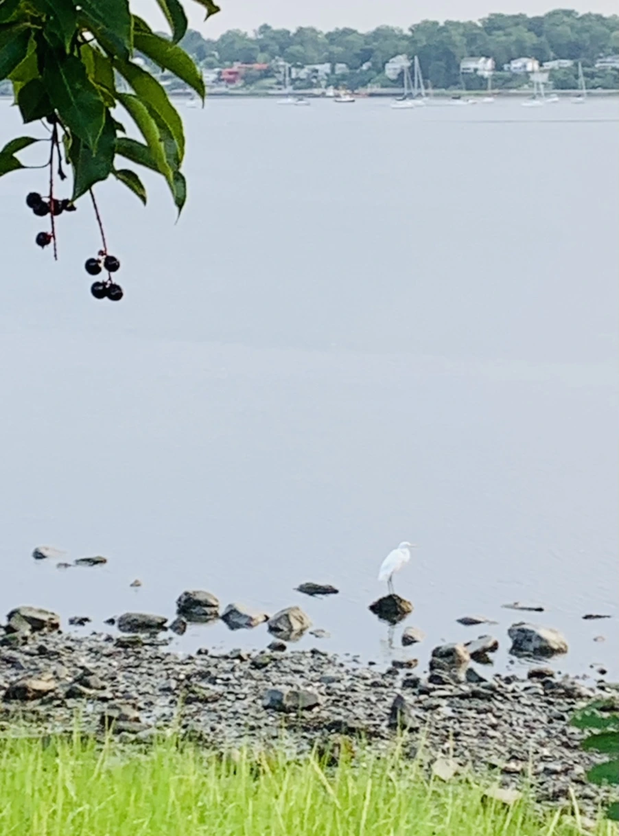 IMG_0666.jpg?type=w966