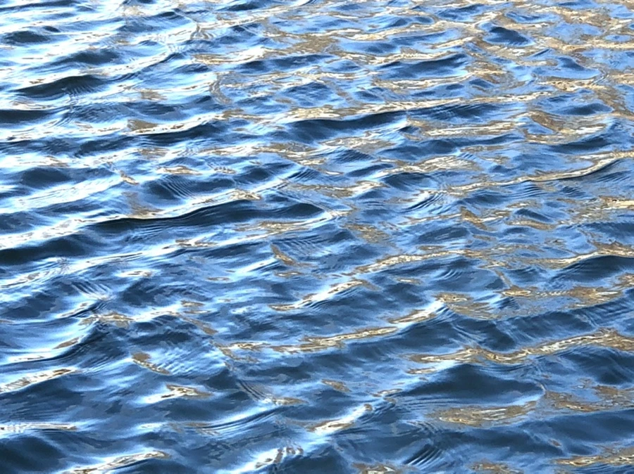 IMG_4011.jpg?type=w966