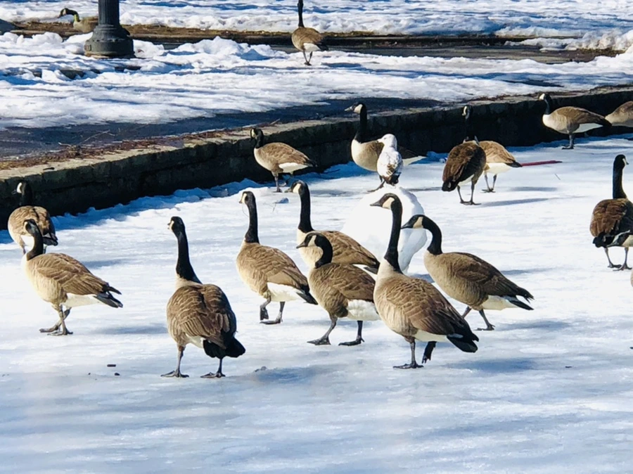 IMG_4846.jpg?type=w966