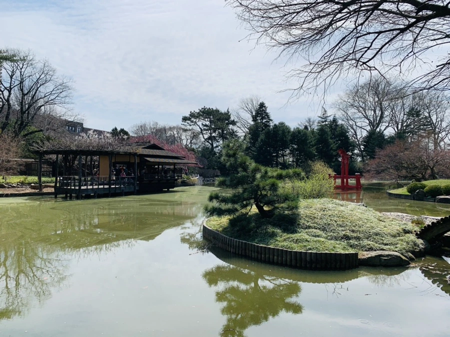 IMG_7313.jpg?type=w966