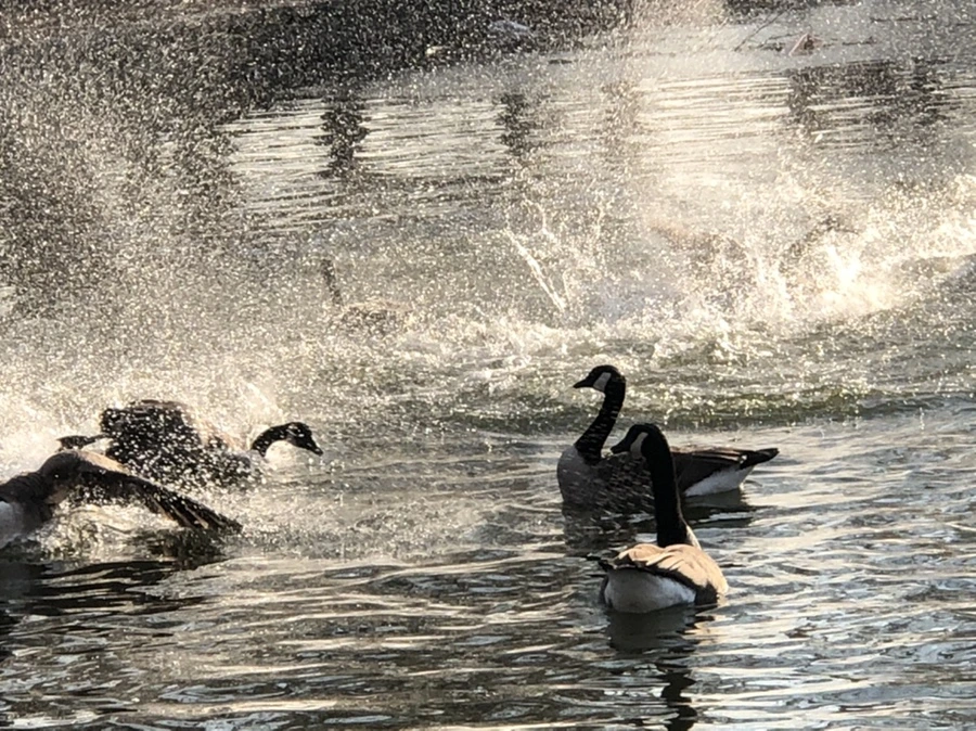 IMG_2821.jpg?type=w966