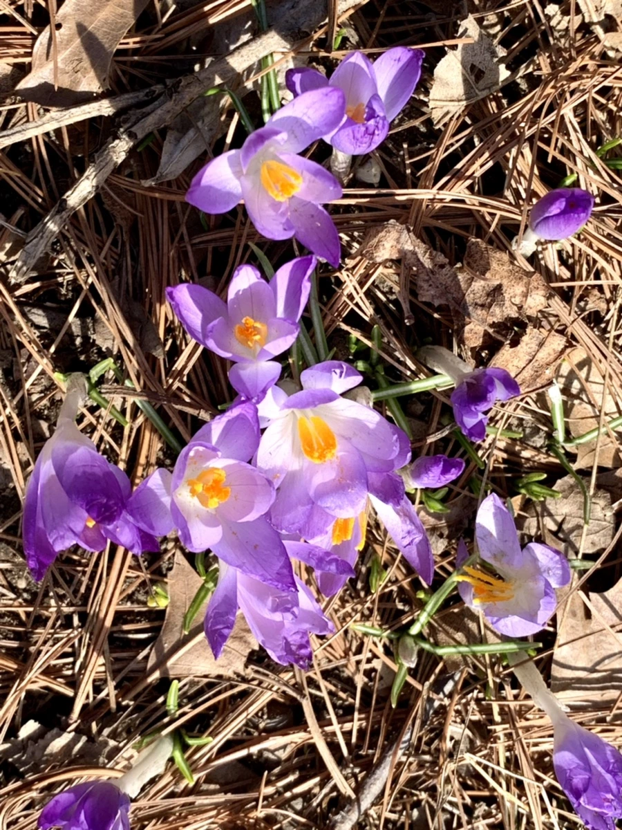 IMG_9641.jpg?type=w966