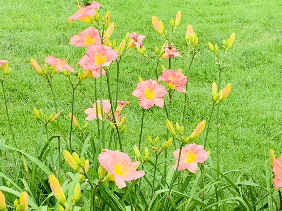 IMG_2576.jpg?type=w966