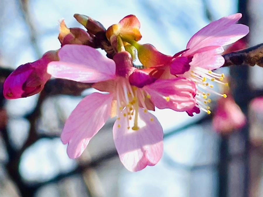 IMG_5503.jpg?type=w966