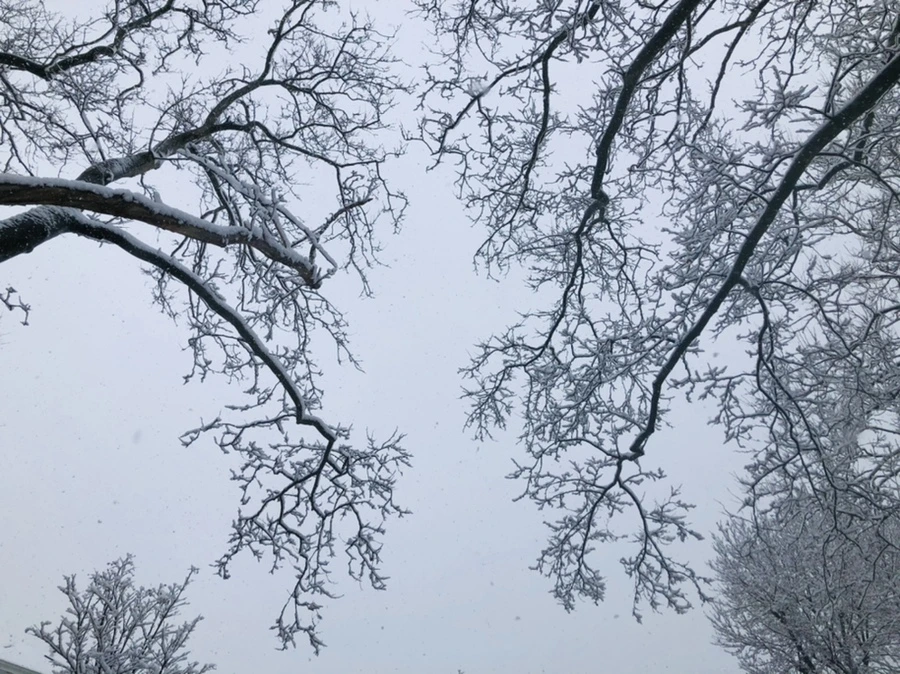 IMG_1058.jpg?type=w966