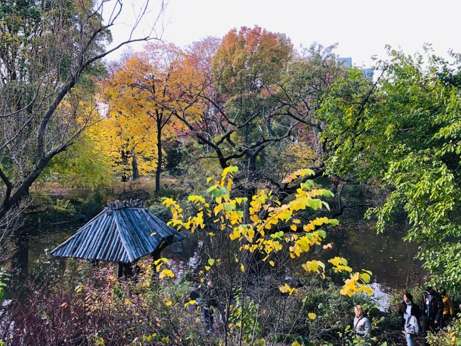 IMG_7531.jpg?type=w966