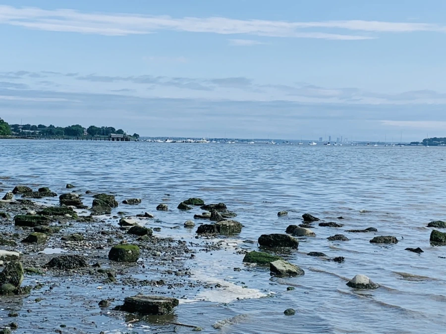 IMG_3236.jpg?type=w966