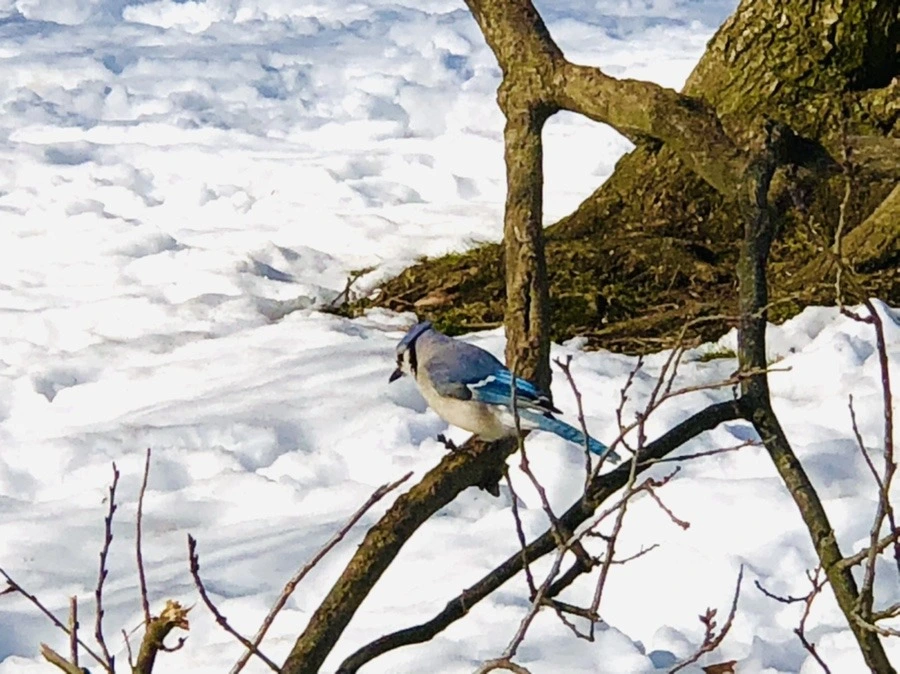 50fuFYiDbypkkhzdRGgupqIihe8