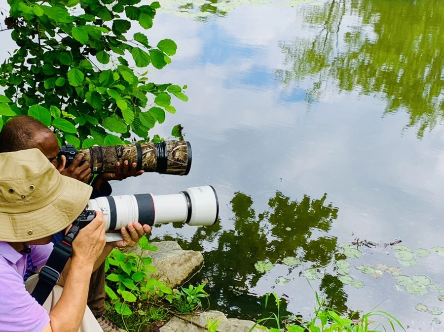 IMG_0713.jpg?type=w966