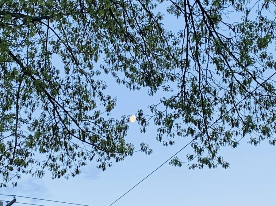 IMG_7494.jpg?type=w966