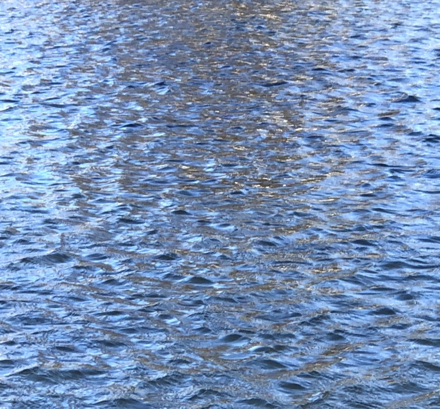 IMG_3741.jpg?type=w966